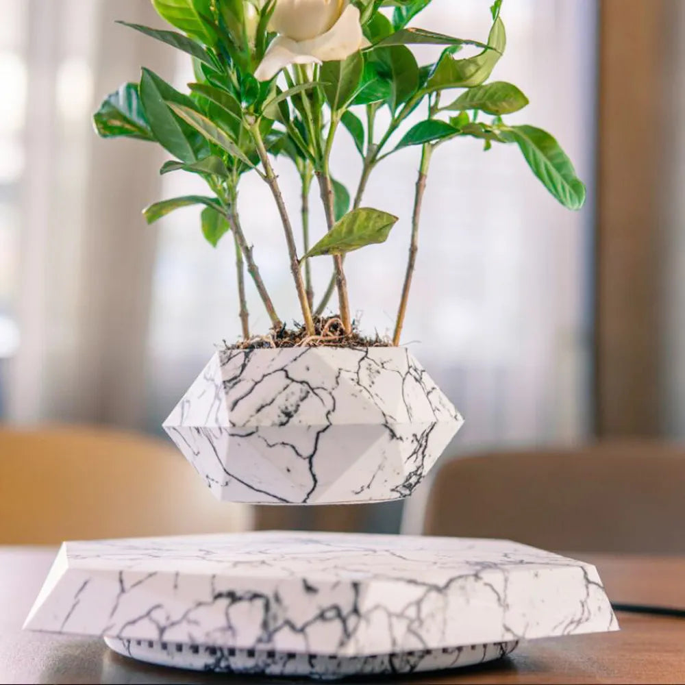 Maceta Bonsai Flotante — Éleva