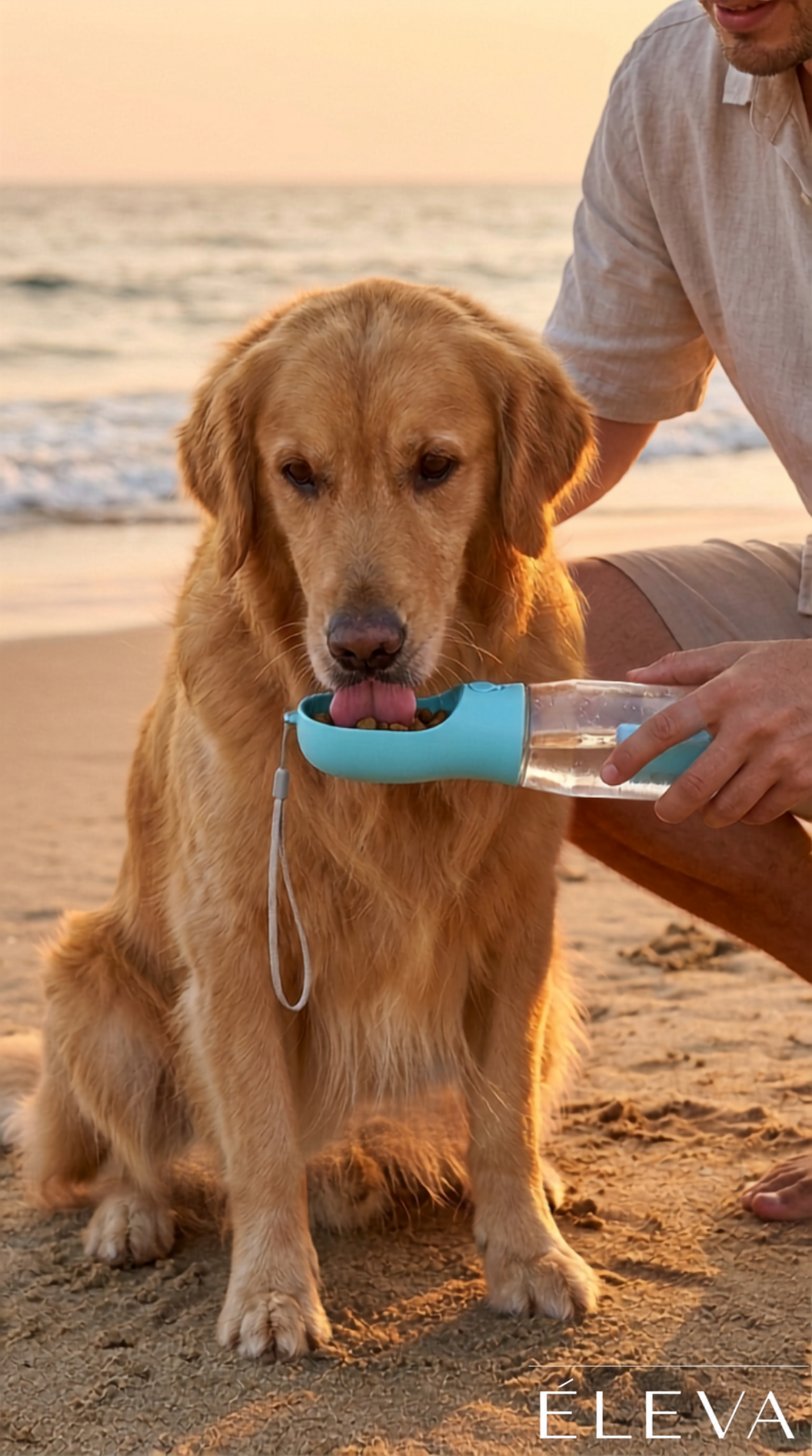 Golden retriever bebiendo de la botella Éleva
